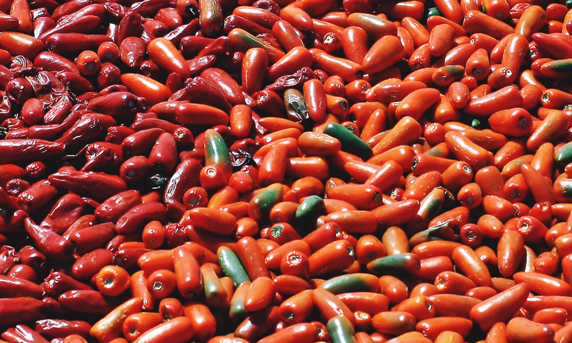Chili