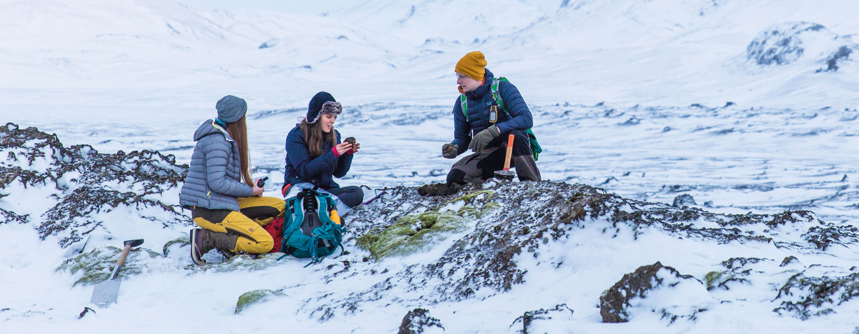 Researchers out on field