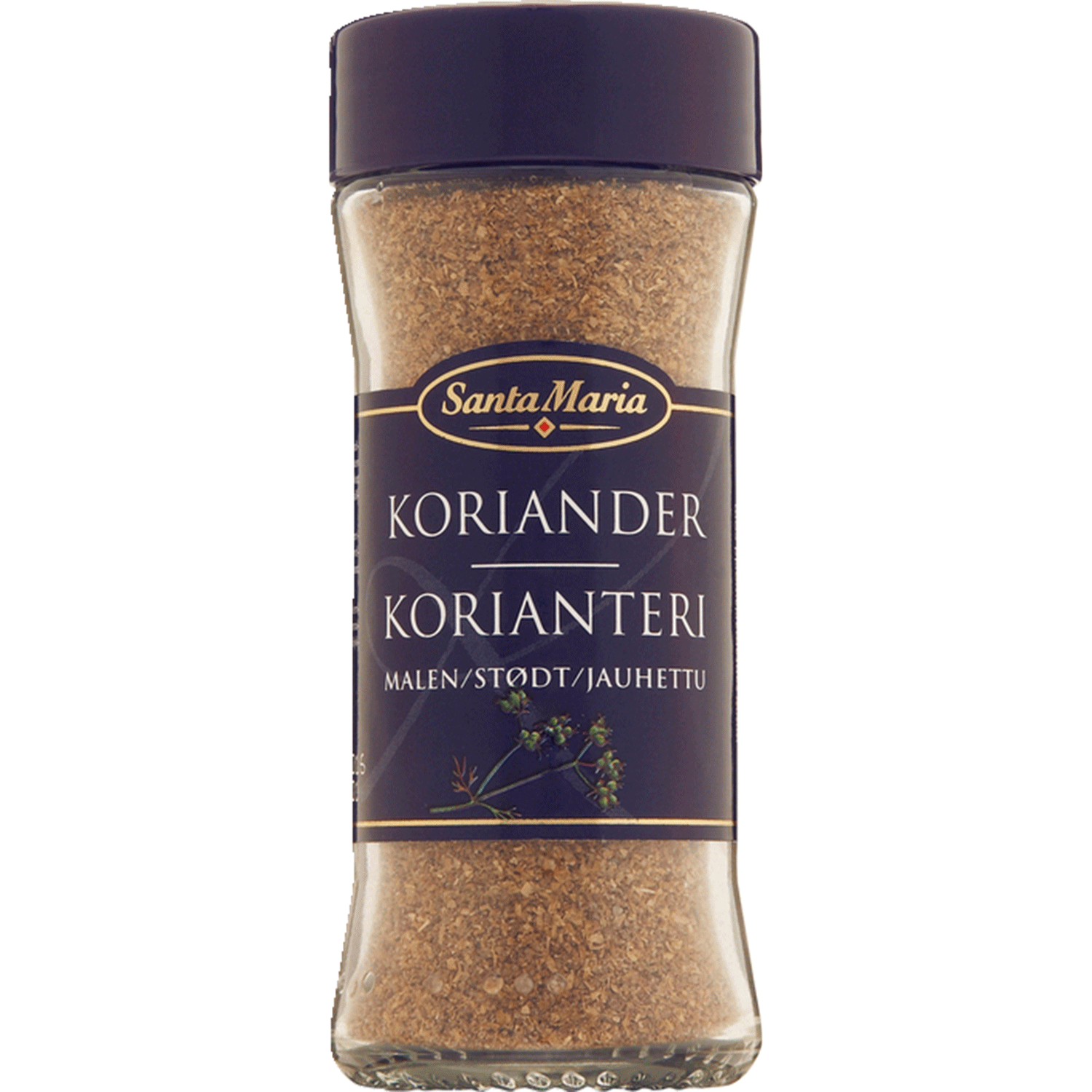 Koriander