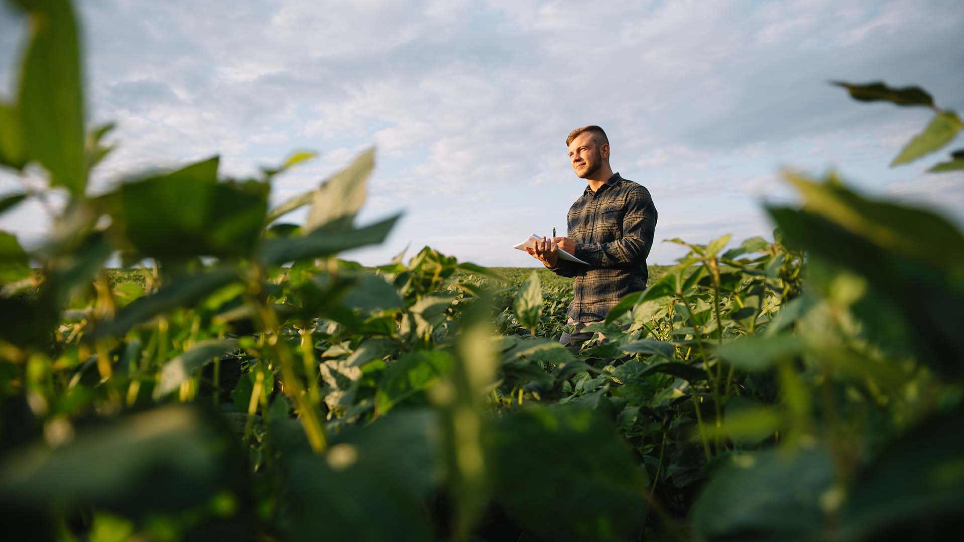 Europeans are craving for plant-based foods