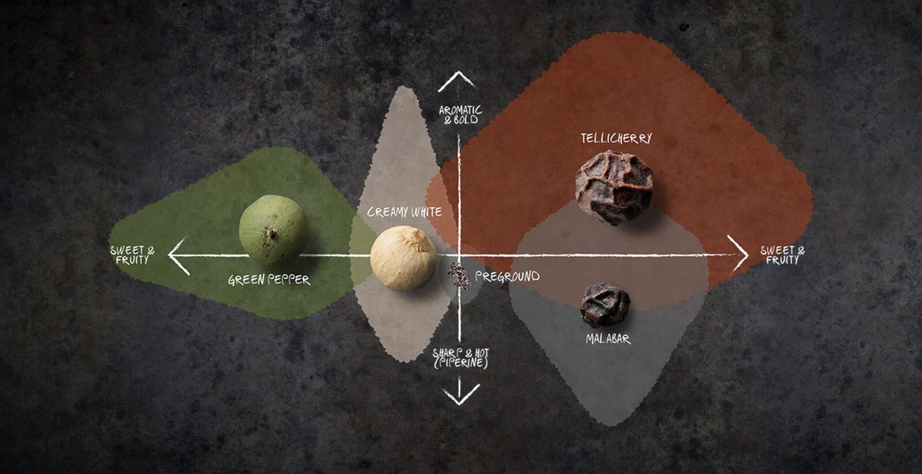 Diagram of different peppers' taste and character