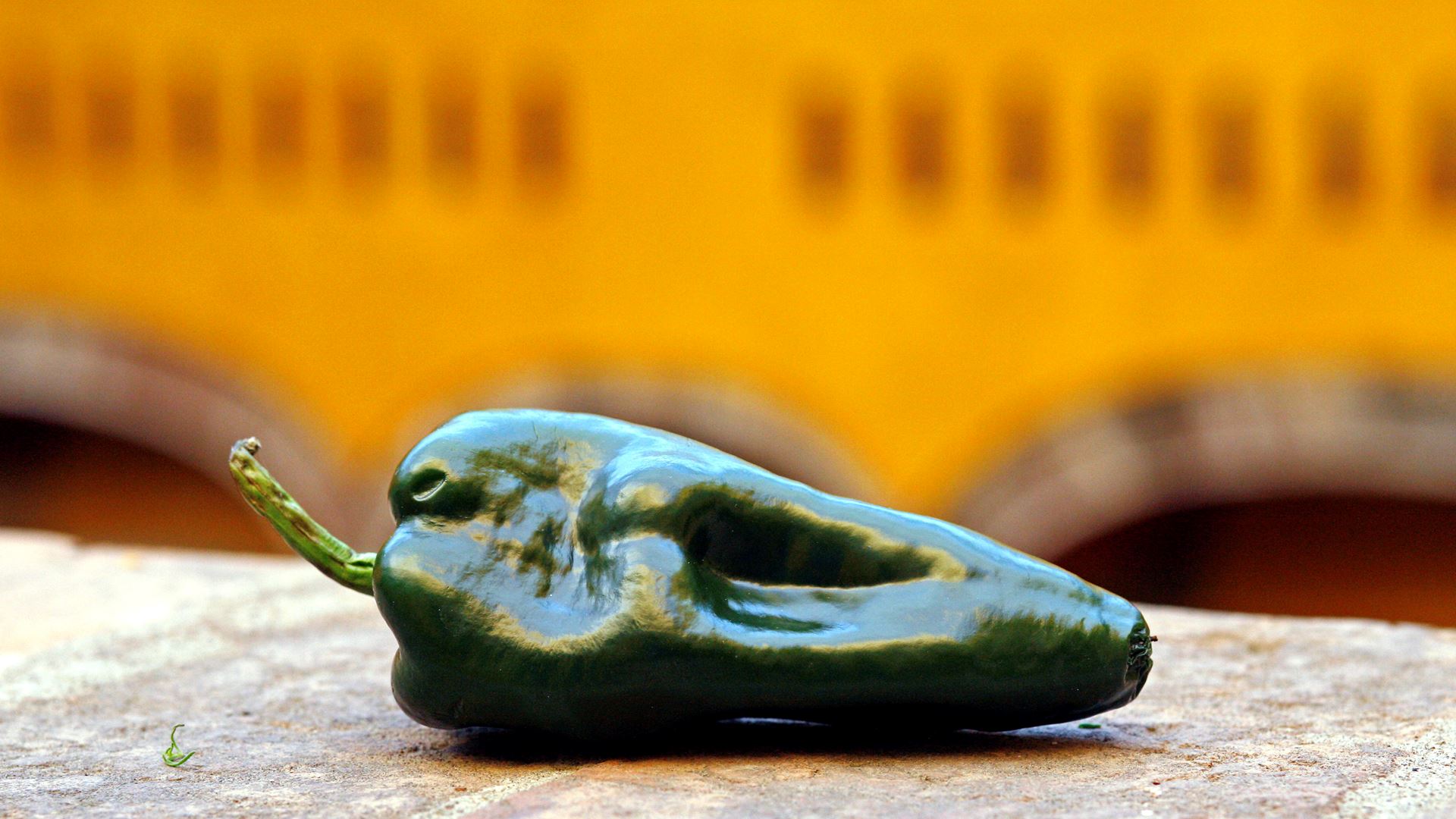 Poblano chili.