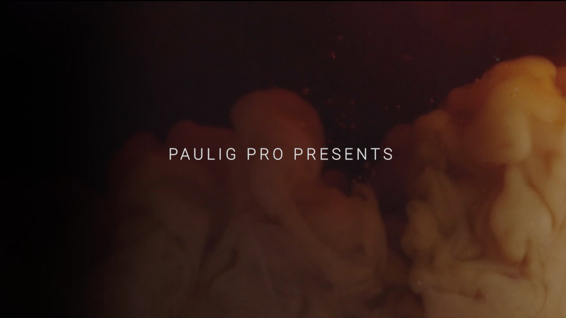 Paulig PRO introduction