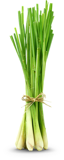 Lemongrass