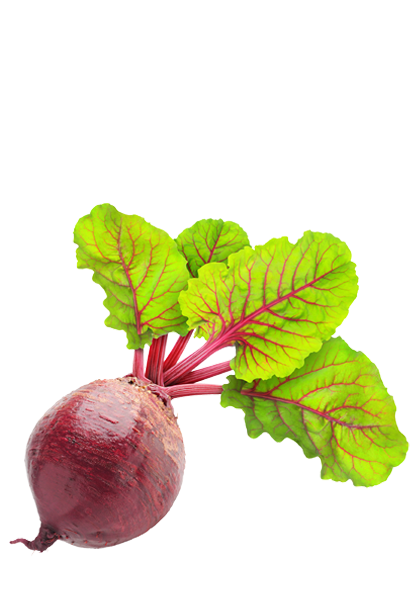 Beetroot