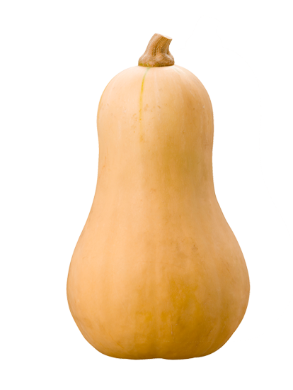 Butternut gresskar