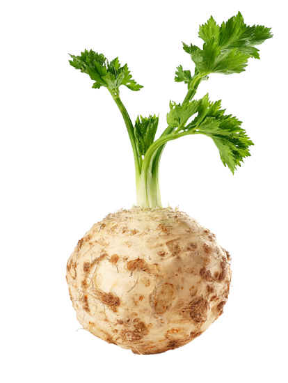 Celeriac