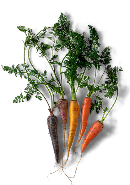 Carrots