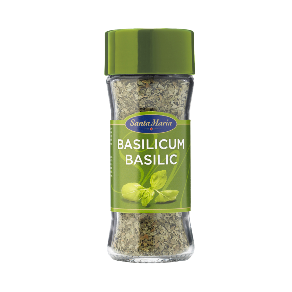 Basilicum