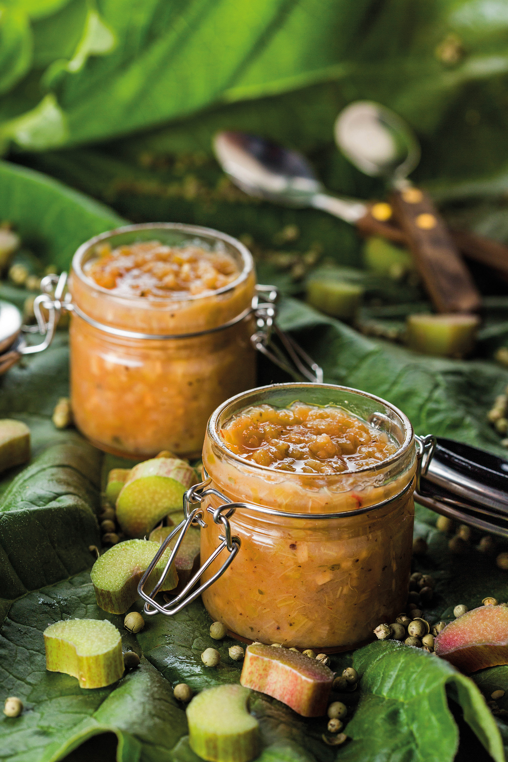Rabarberi chutney rohelise terapipraga